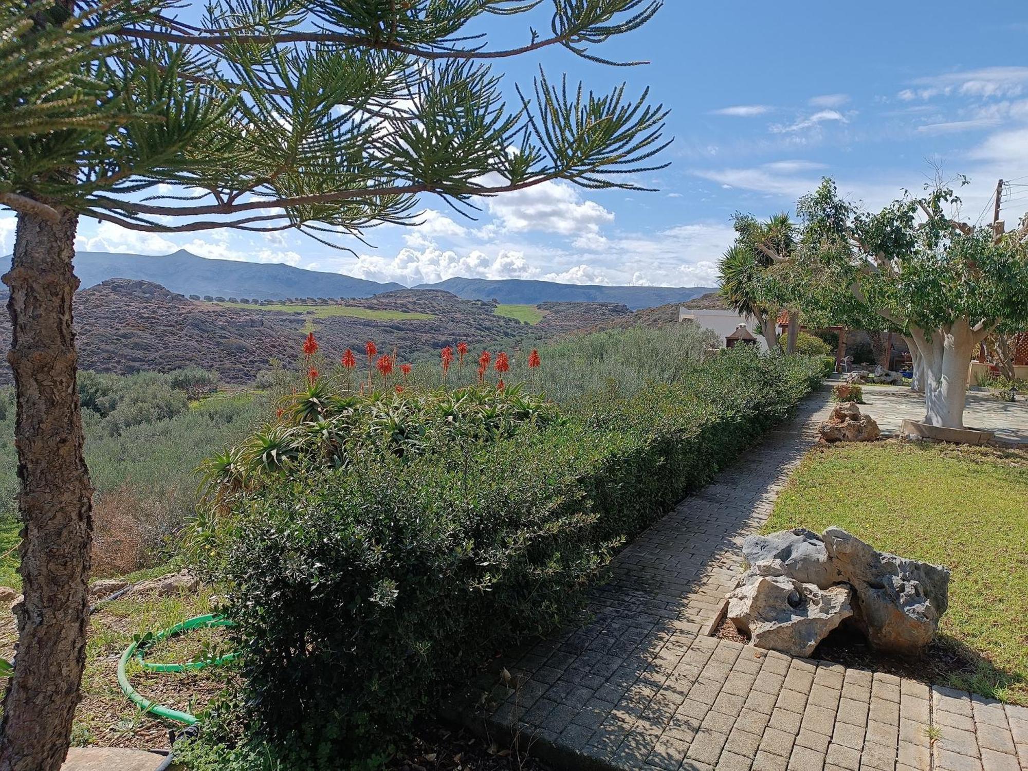 פלקסטרון Villa Amalia מראה חיצוני תמונה
