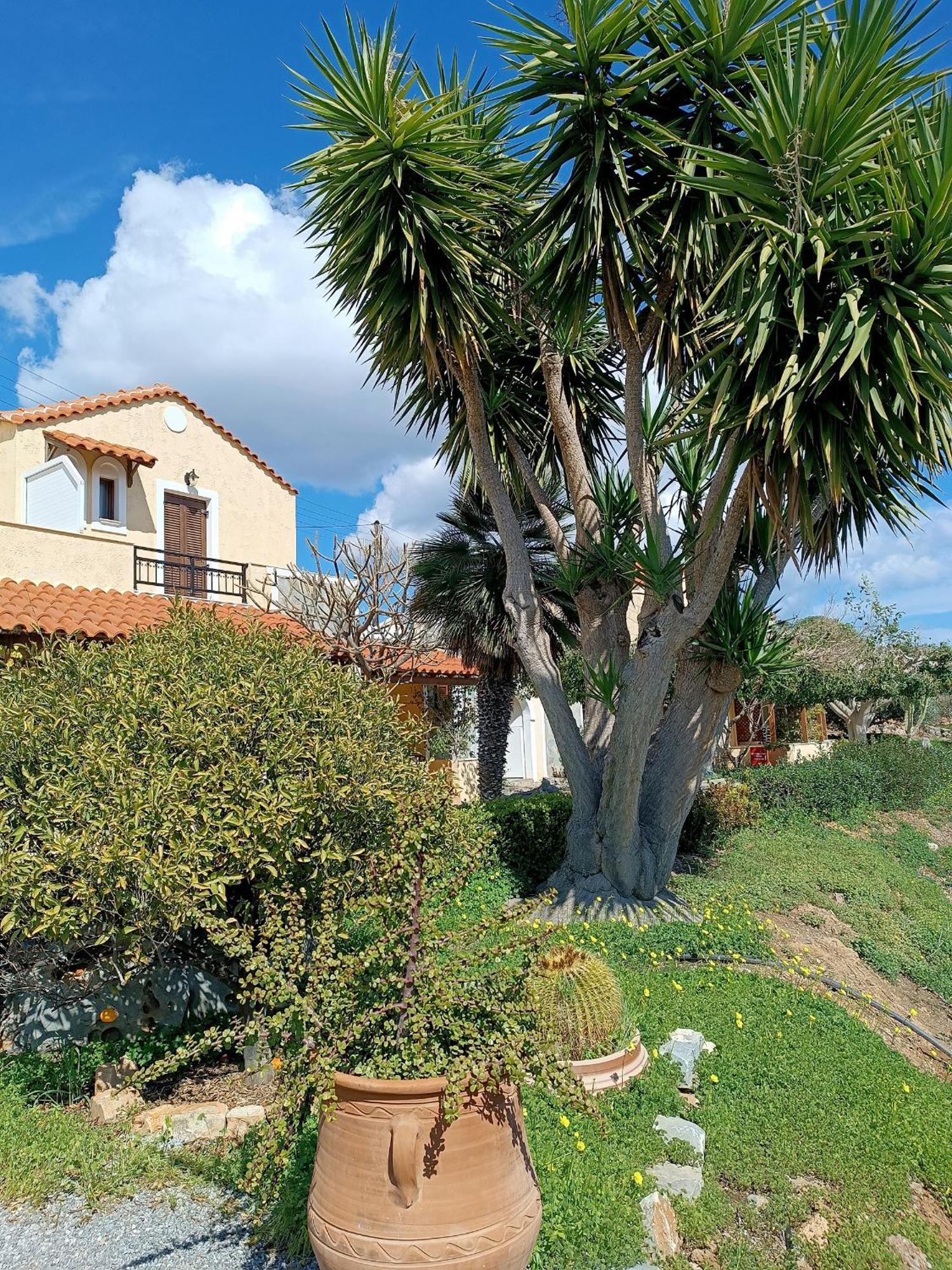 פלקסטרון Villa Amalia מראה חיצוני תמונה