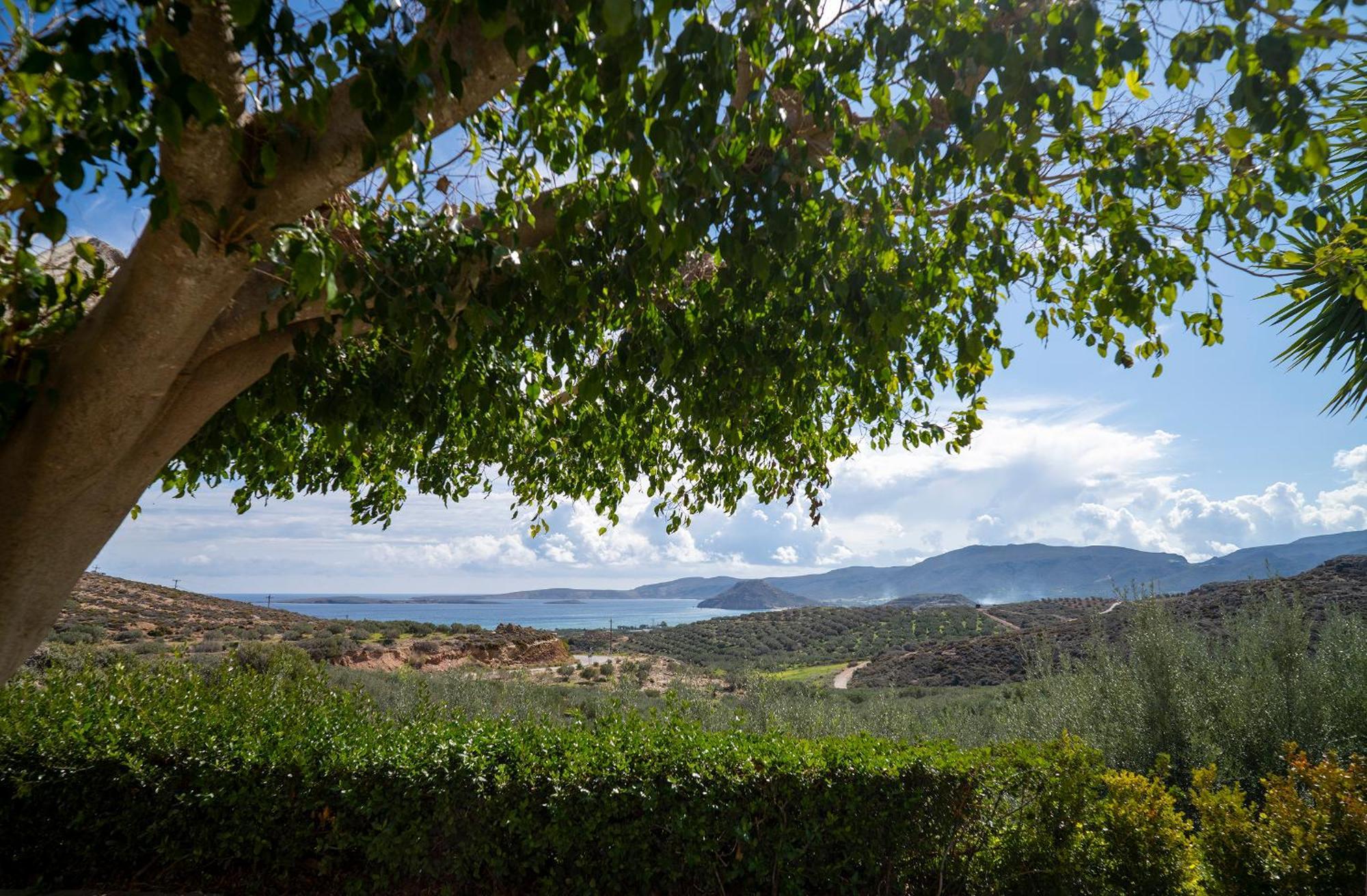 פלקסטרון Villa Amalia מראה חיצוני תמונה